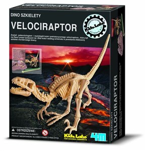 Obrazek Dino szkielety Velociraptor