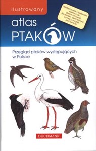 Bild von Ilustrowany atlas ptaków Przegląd ptaków występujących w Polsce