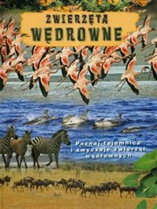 Obrazek Zwierzęta wędrowne Poznaj tajemnice i zwyczaje zwierząt wędrownych