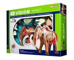 Bild von 4D Vision Mamut Model anatomiczny
