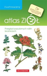 Bild von Ilustrowany atlas ziół Przegląd popularnych roślin leczniczych