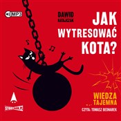 [Audiobook... - Dawid Ratajczak - buch auf polnisch 