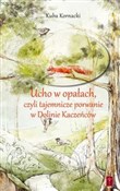 Polska książka : Ucho w opa... - Kuba Kornacki
