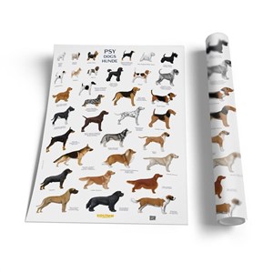 Bild von Plansza edukacyjna - Psy SOLITON