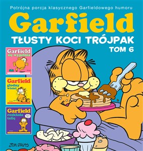 Obrazek Garfield. Tłusty koci trójpak T.6