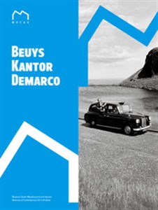 Obrazek Beuys, Kantor, Demarco