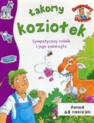 Książka : Gospodarz ... - Opracowanie Zbiorowe