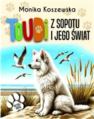 Książka : Toudi z So... - Monika Koszewska