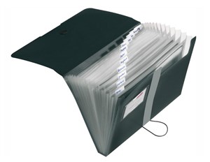 Obrazek TECZKA ROZKŁ.A4 PP 12CZ.CZAR.EASY ORGA