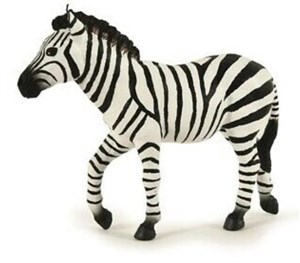 Bild von Zebra samiec