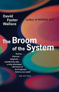 Bild von WALLACE, D: BROOM OF THE SYSTEM