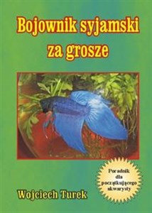 Obrazek Bojownik syjamski za grosze Poradnik dla początkującego akwarysty