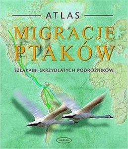 Obrazek Migracje ptaków Szlakami skrzydlatych podróżników