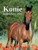 Polnische buch : Kalendarz ...