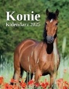 Obrazek Kalendarz 2025 wieloplanszowy Konie