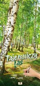 Polnische buch : Kalendarz ...