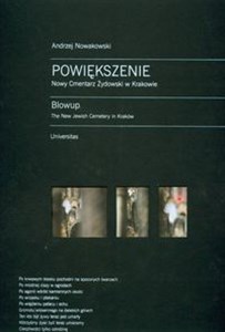 Obrazek Powiększenie Nowy cmentarz żydowski w Krakowie