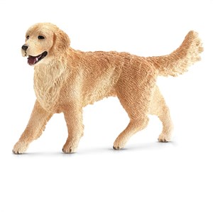 Bild von Golden Retriever suczka SLH16395