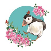 Karnet Swa... -  Polnische Buchandlung 