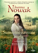 Polska książka : Sumienie z... - Joanna Nowak