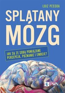 Obrazek Splątany mózg Jak są ze sobą powiązane percepcja, poznanie i emocje?