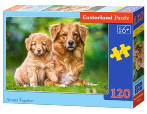 Obrazek Puzzle Always Together 120