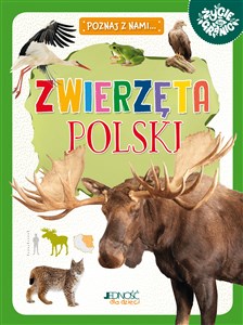 Obrazek Zwierzęta Polski