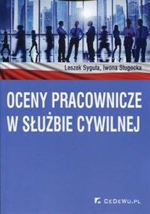 Obrazek Oceny pracownicze w służbie cywilnej