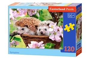 Obrazek Puzzle Springtime 120