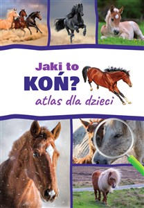 Bild von Jaki to koń? Atlas dla dzieci