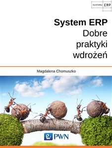 Obrazek System ERP Dobre praktyki wdrożeń
