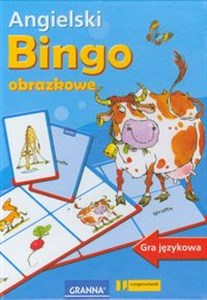Bild von Angielski Bingo obrazkowe Gra językowa