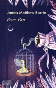 Obrazek Peter Pan