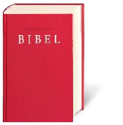 Polnische buch : ZÜRCHER BI...