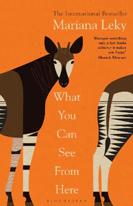 Obrazek LEKY, M: WHAT YOU CAN SEE FROM HERE