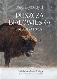 Obrazek Puszcza Białowieska Ostatnia puszcza Europy