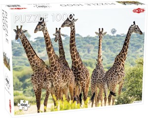 Bild von Puzzle Żyrafy 1000