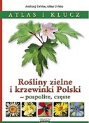 Zobacz : Rośliny zi... - Andrzej Urbisz, Alina Urbisz