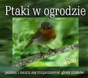 Ptaki w Og... - buch auf polnisch 