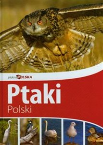 Obrazek Piękna Polska Ptaki Polski