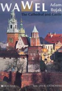 Bild von Wawel the cathedral and castle