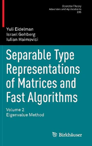 Obrazek EIDELMAN, Y: SEPARABLE TYPE REPRESENTATIONS OF MATRICES AND