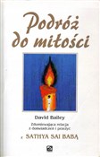 Polnische buch : Podróż do ... - David Bailey