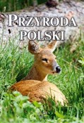 Książka : Przyroda P... - Joanna Włodarczyk