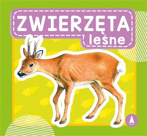 Bild von Zwierzęta leśne