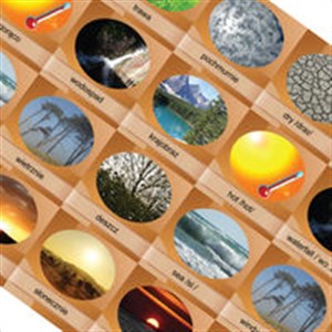 Bild von Memory Game Nature