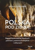 Polska pod... - Mikołaj Gospodarek - buch auf polnisch 