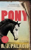 Pony - R. J. Palacio -  Książka z wysyłką do Niemiec 