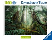 Polska książka : Puzzle 100...