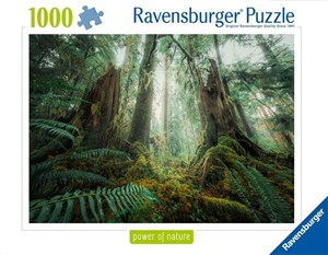 Obrazek Puzzle 1000 Lasy